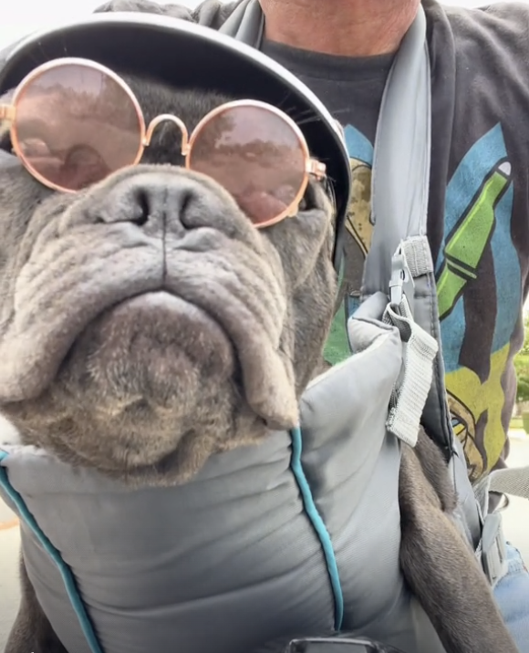 Frenchie Graduates from EV Bike to Electric Motorcycle !